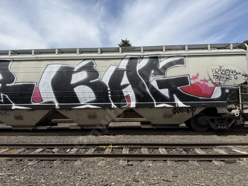 MWCX482124 - NORTH-AMERICA