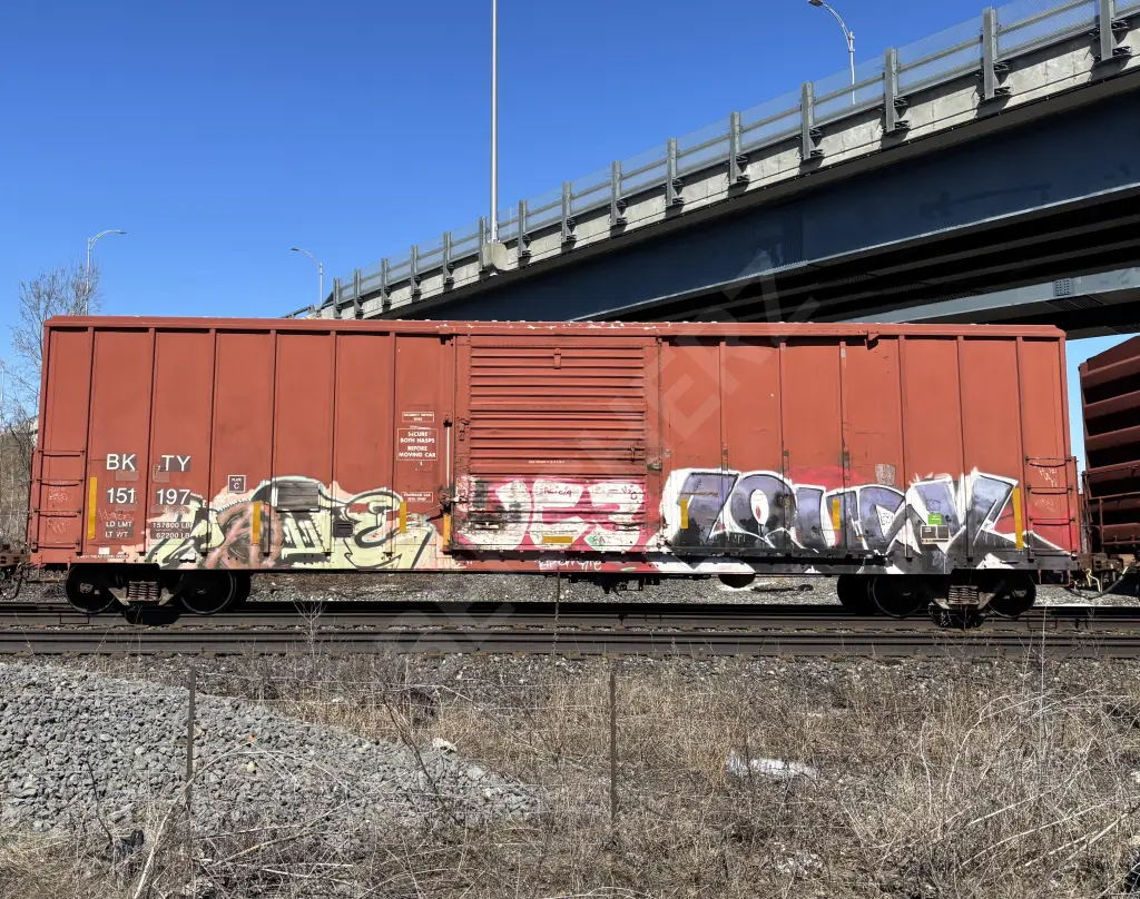 BKTY151197 - NORTH-AMERICA