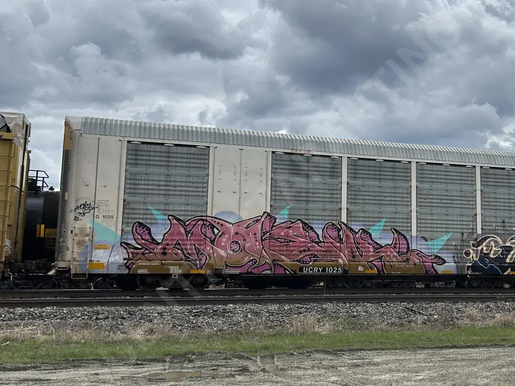 UCRY1025 - NORTH-AMERICA