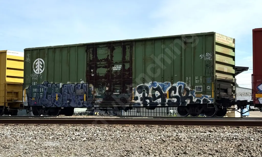 IBT19125 - NORTH-AMERICA