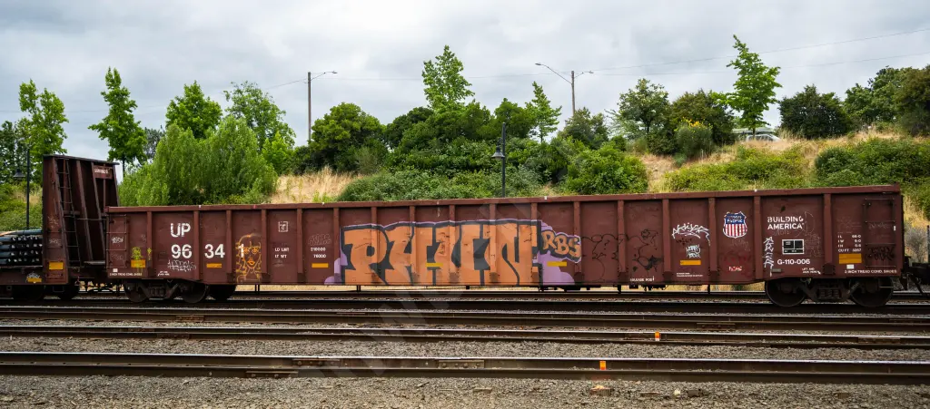 UP96341 - NORTH-AMERICA