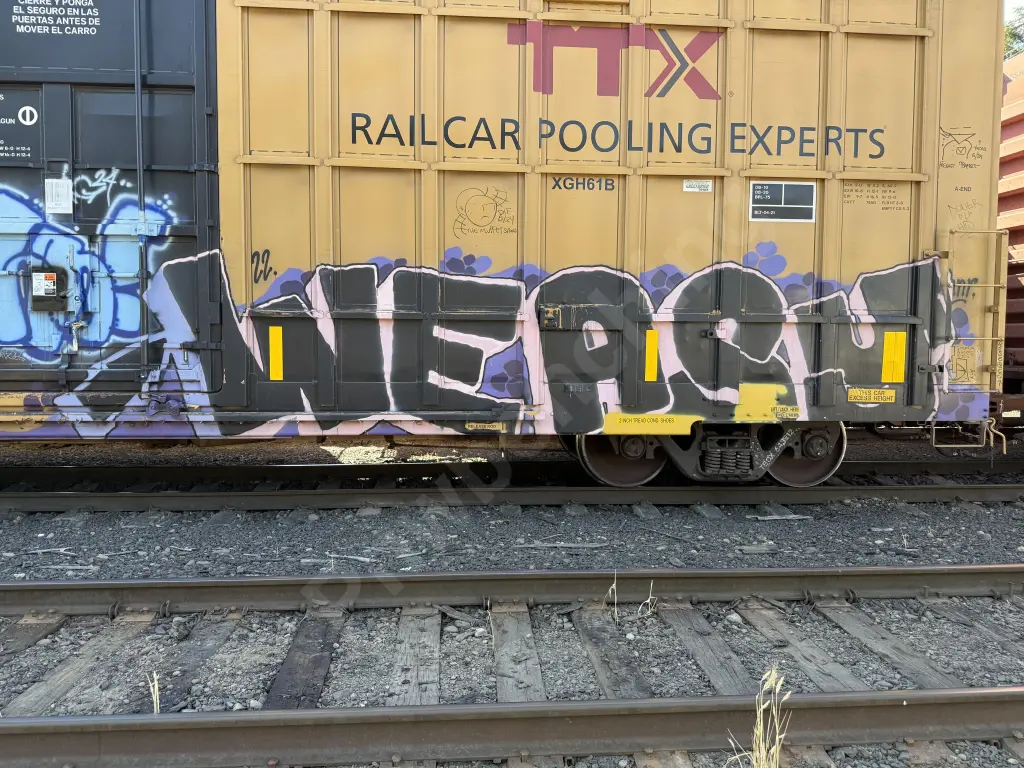 TBOX643812 - NORTH-AMERICA