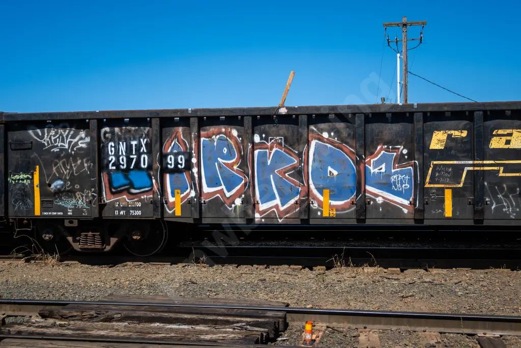 GNTX297099 - NORTH-AMERICA