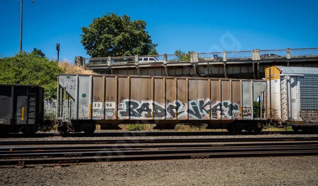CLSX1298 - NORTH-AMERICA