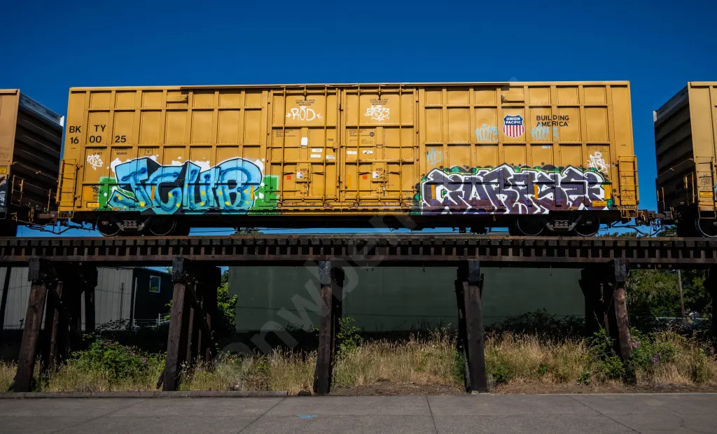 BKTY160025 - NORTH-AMERICA