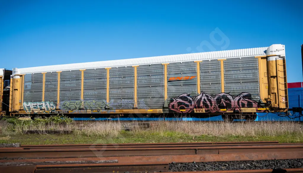 TTGX160165 - NORTH-AMERICA