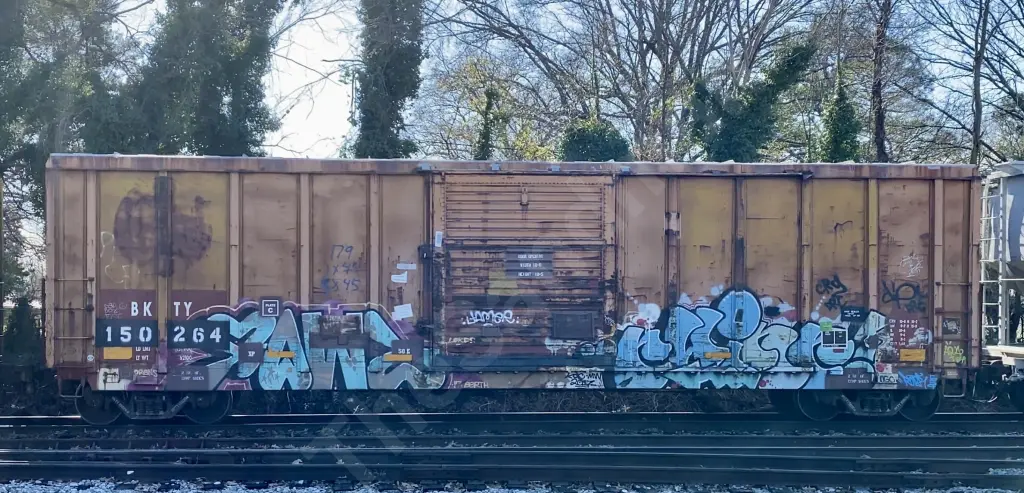 BKTY150264 - NORTH-AMERICA