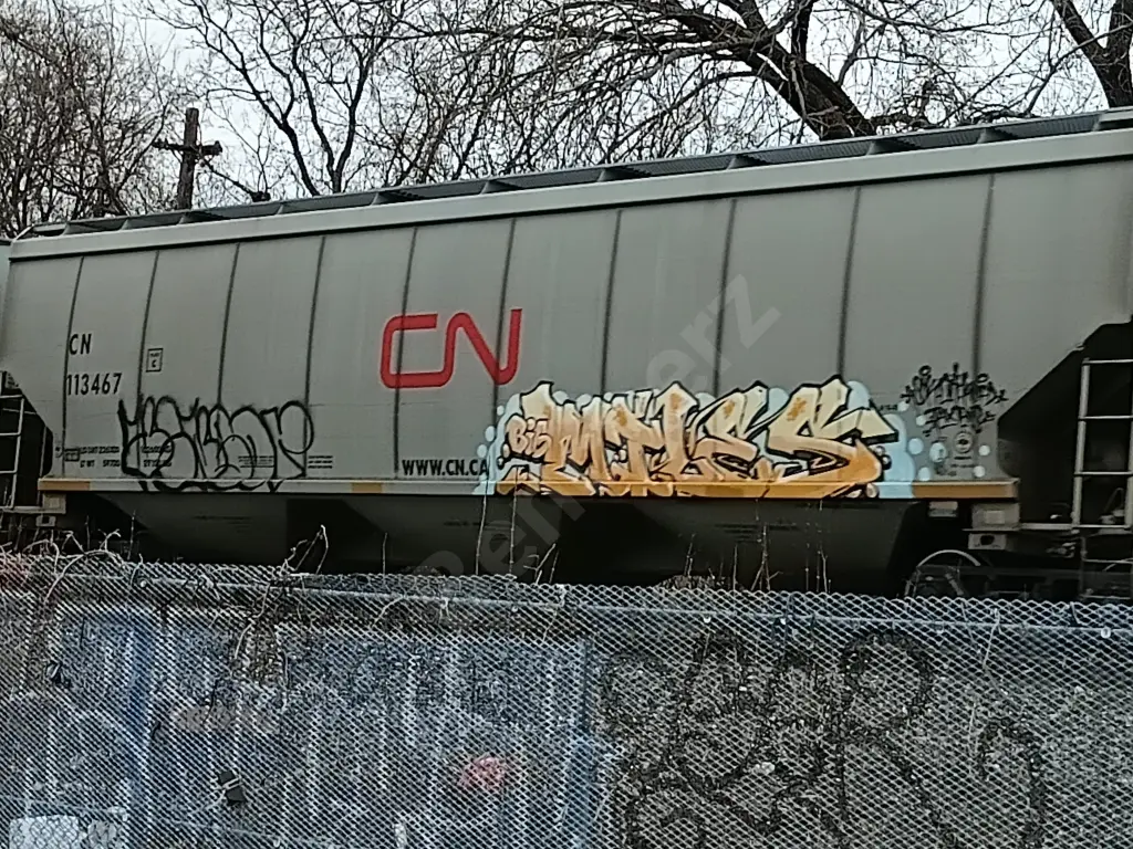 CN113467 - NORTH-AMERICA