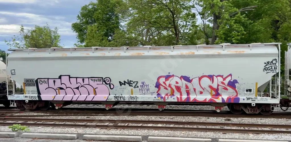 ROIX5909 - NORTH-AMERICA