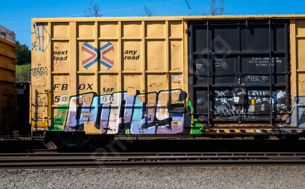 FBOX505166 - NORTH-AMERICA