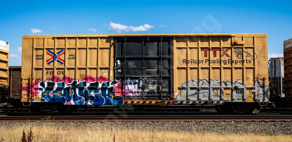 FBOX505648 - NORTH-AMERICA
