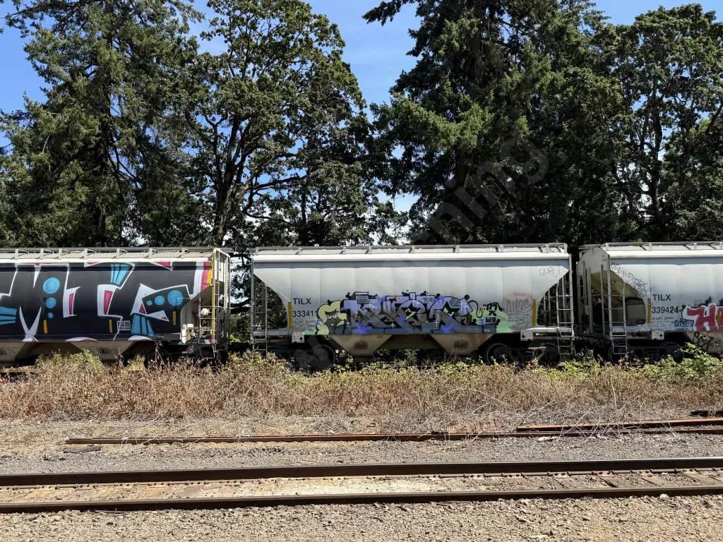 TILX333411 - NORTH-AMERICA