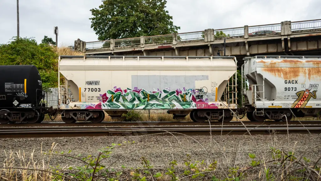 NAHX77003 - NORTH-AMERICA