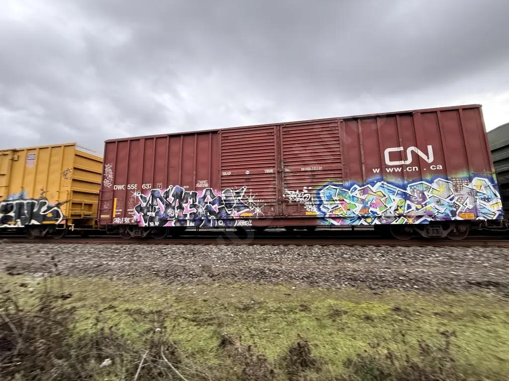 DWC558637 - NORTH-AMERICA