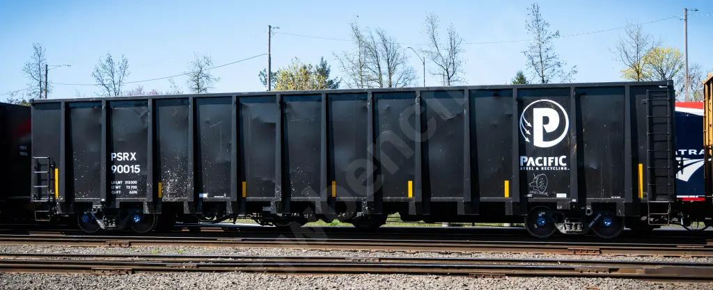 PSRX90015 - NORTH-AMERICA