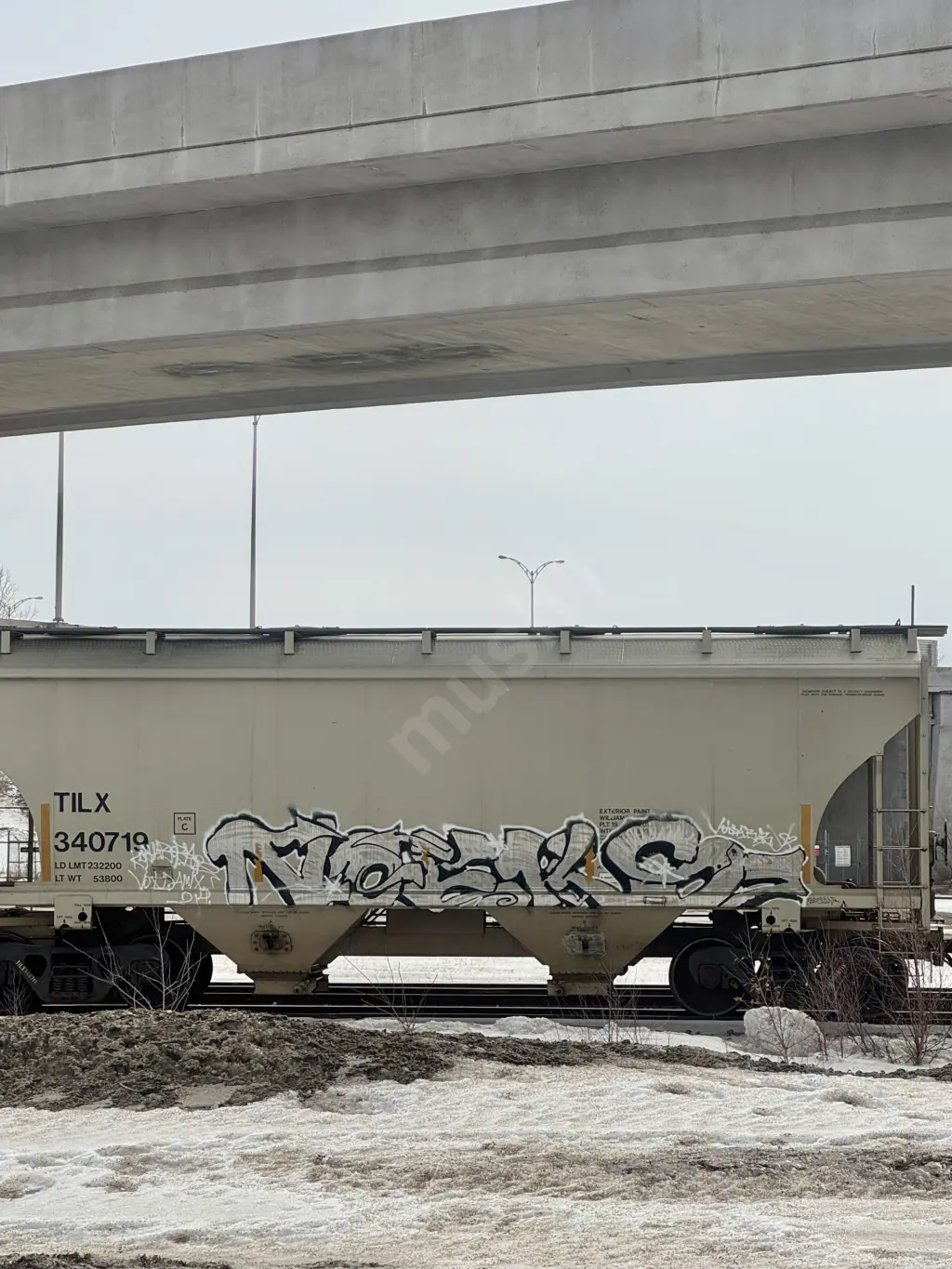 TILX340719 - NORTH-AMERICA