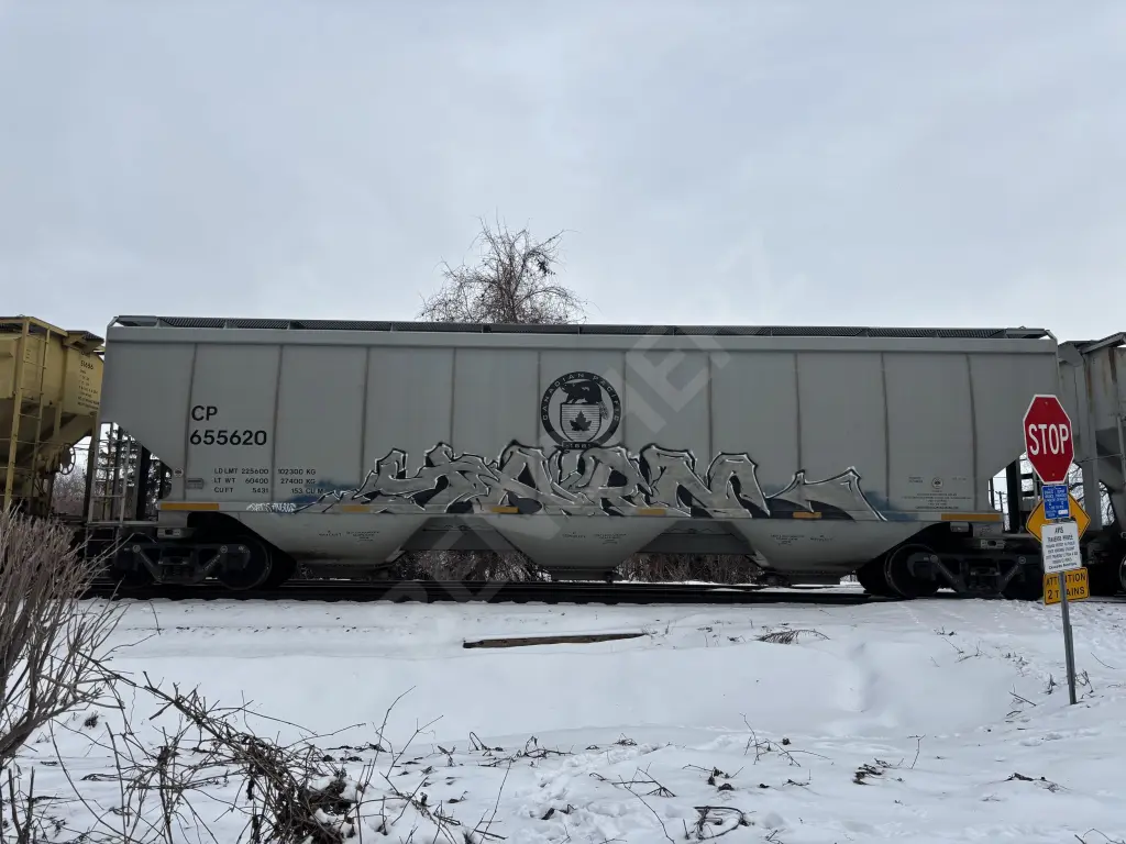 CP655620 - NORTH-AMERICA