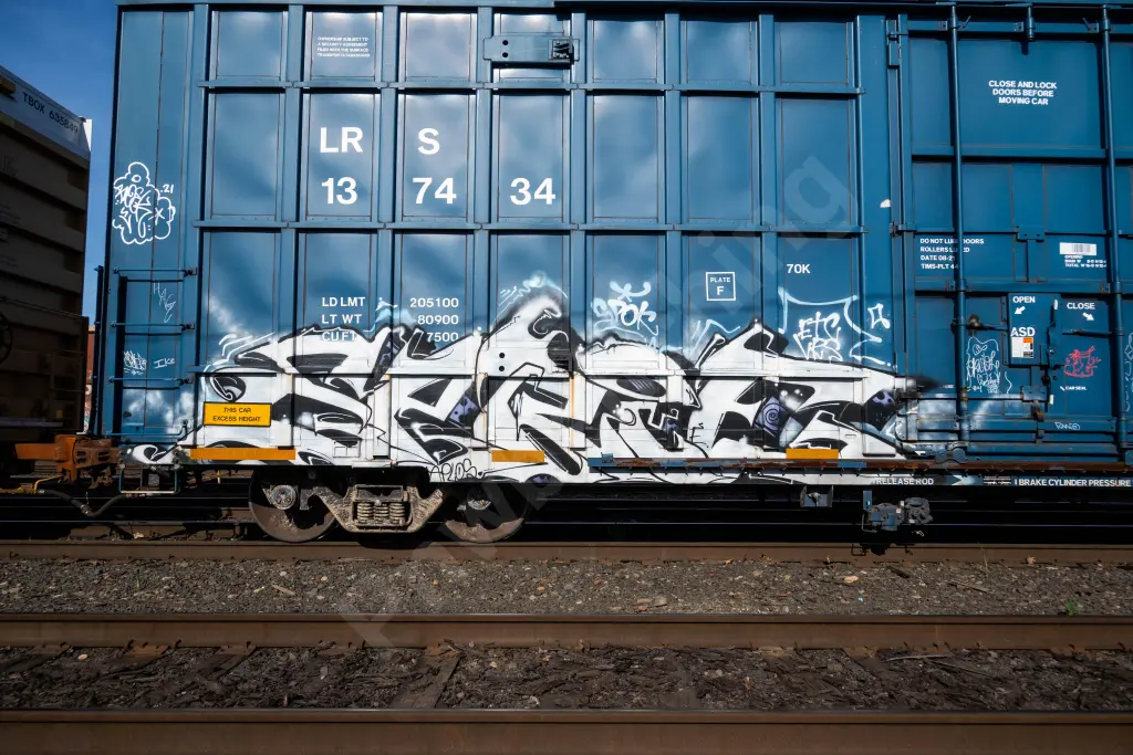 LRS137434