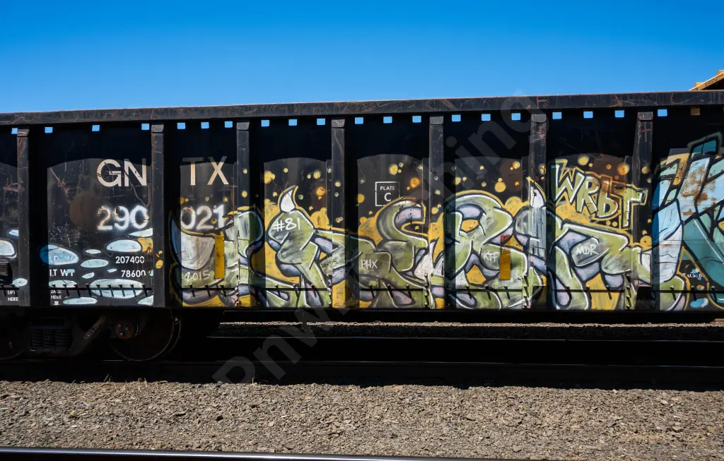GNTX290121 - NORTH-AMERICA