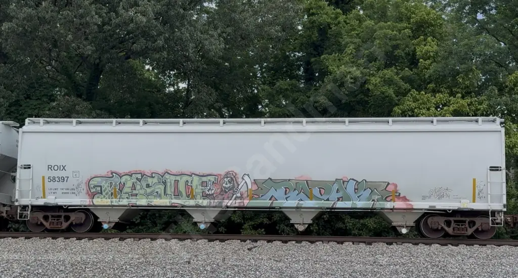 ROIX58397 - NORTH-AMERICA