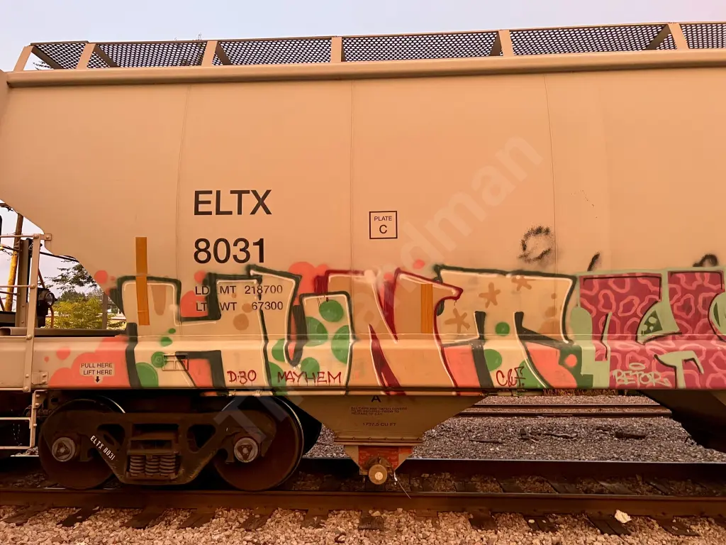 ELTX8031 - NORTH-AMERICA
