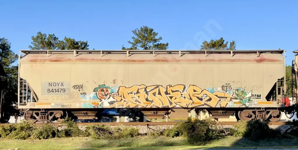 NDYX841479 - NORTH-AMERICA