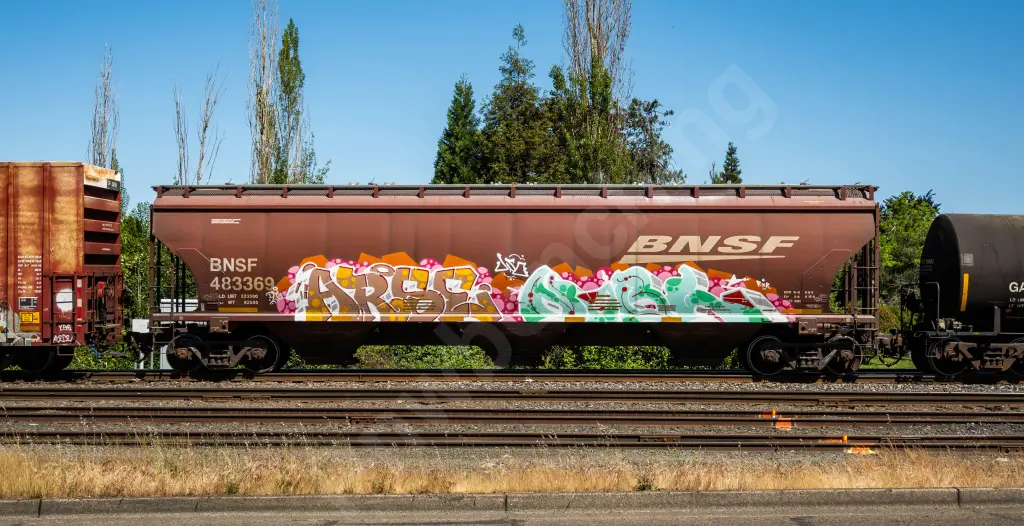 BNSF483369 - NORTH-AMERICA