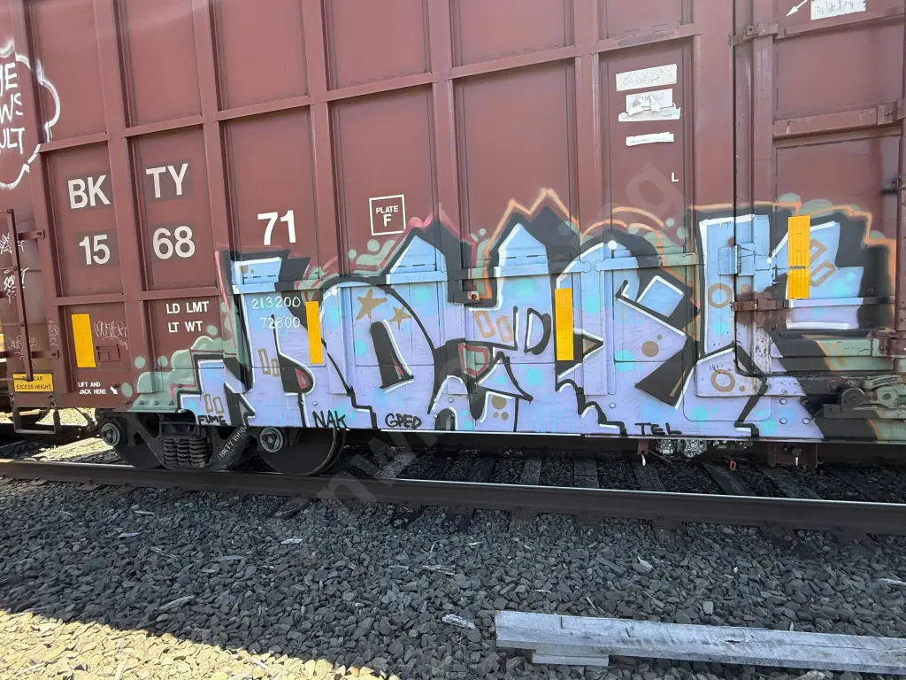 BKTY156871 - NORTH-AMERICA