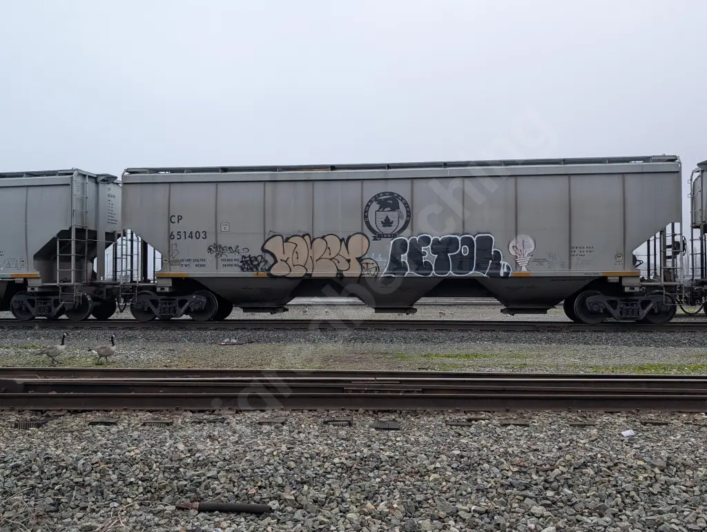 CP651403 - NORTH-AMERICA