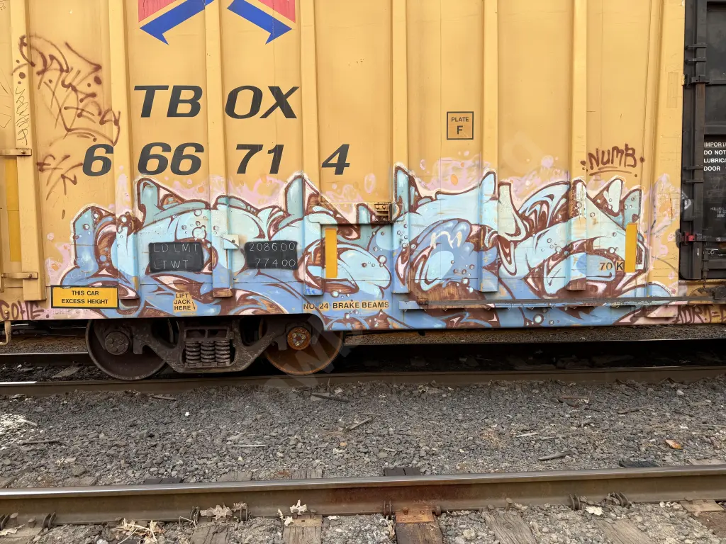 TBOX666714 - NORTH-AMERICA