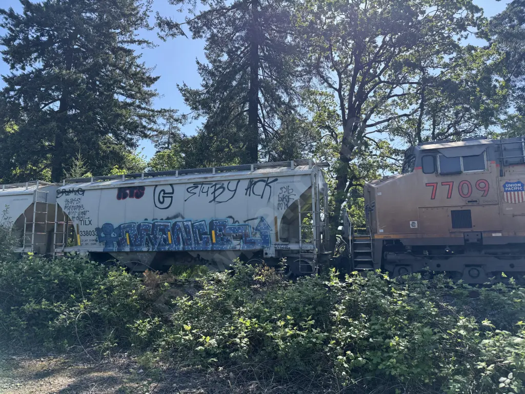 TILX338033 - NORTH-AMERICA