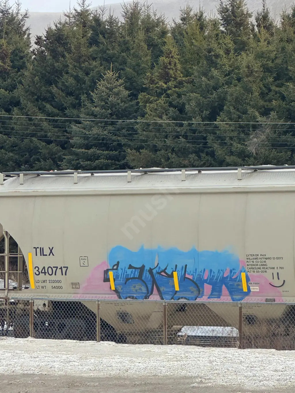 TILX340717 - NORTH-AMERICA
