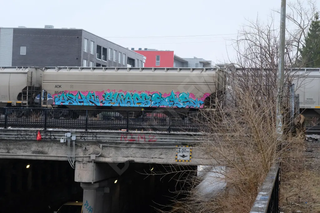 AOK854706 - NORTH-AMERICA