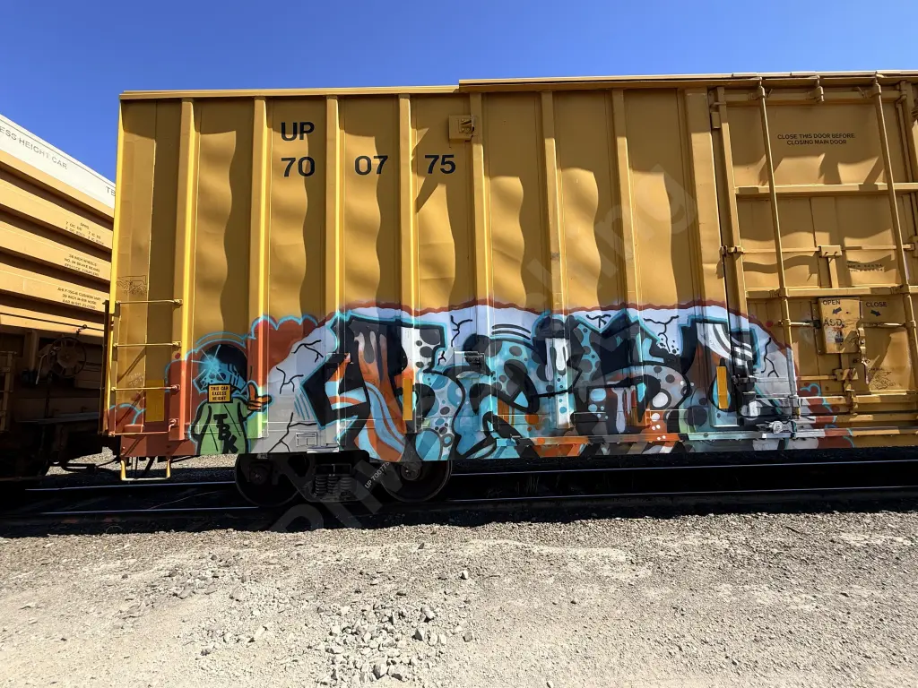 UP700775 - NORTH-AMERICA