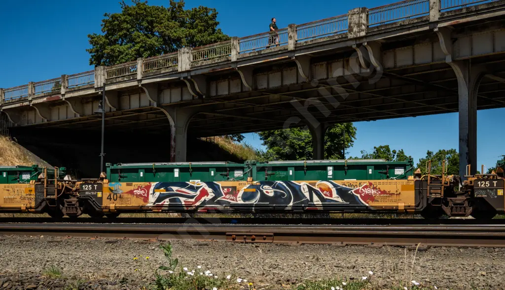 #62003 - NORTH-AMERICA