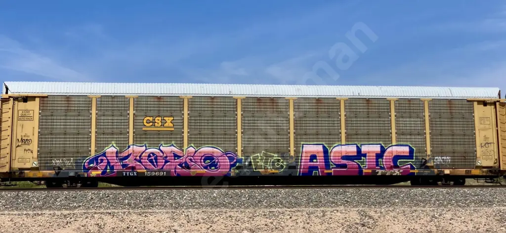 TTGX159691 - NORTH-AMERICA