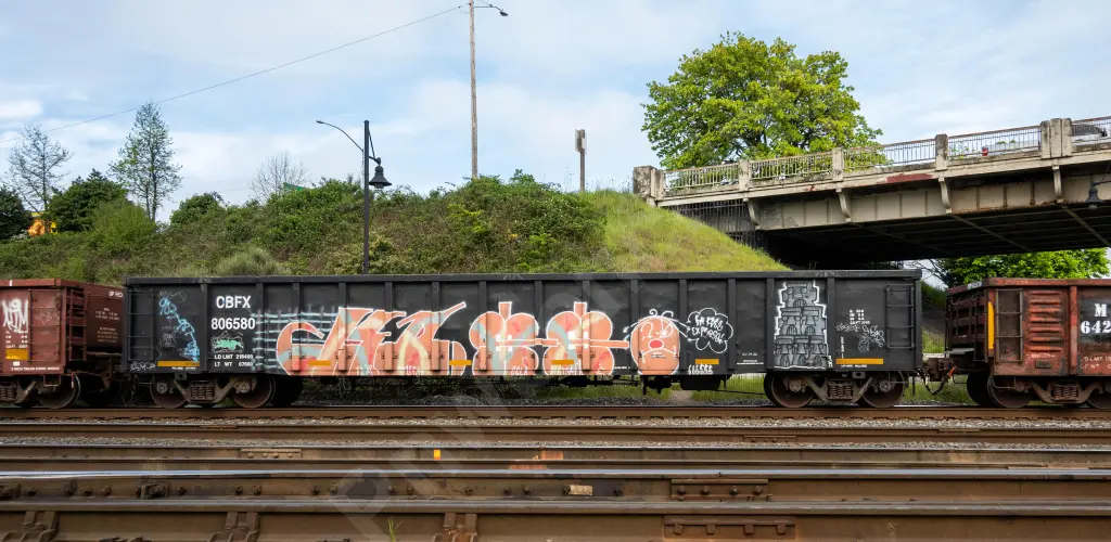 CBFX806580 - NORTH-AMERICA