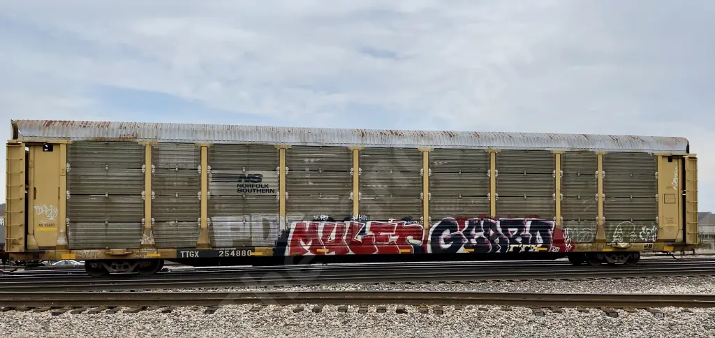 TTGX254880 - NORTH-AMERICA