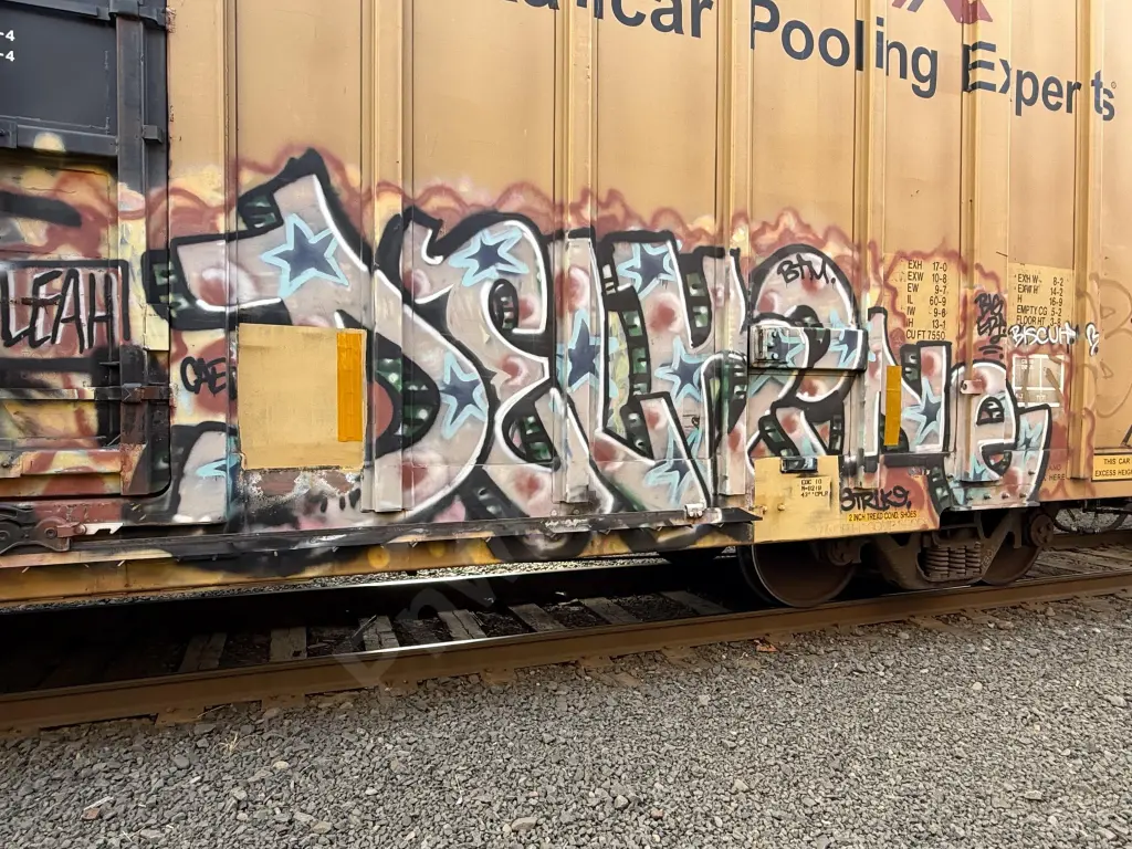 Train photo