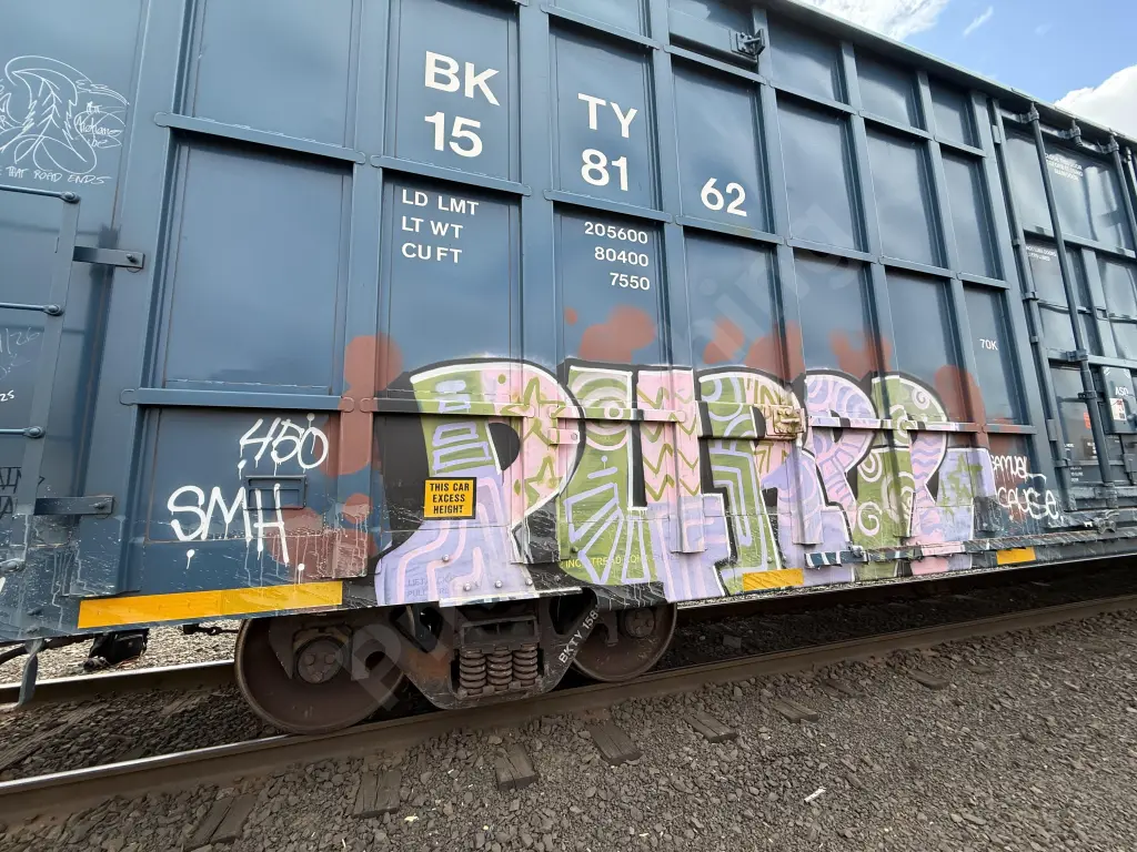 BKTY158162 - NORTH-AMERICA