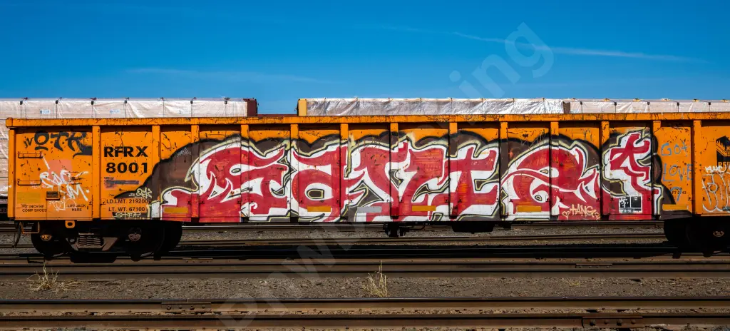 RFRX8001 - NORTH-AMERICA