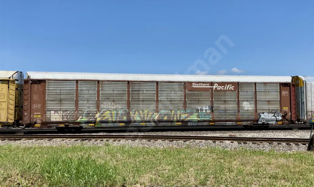 SSW80895 - NORTH-AMERICA