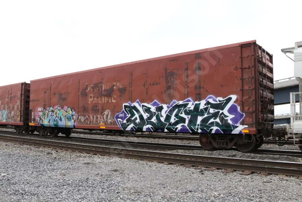 SGFX366 - NORTH-AMERICA