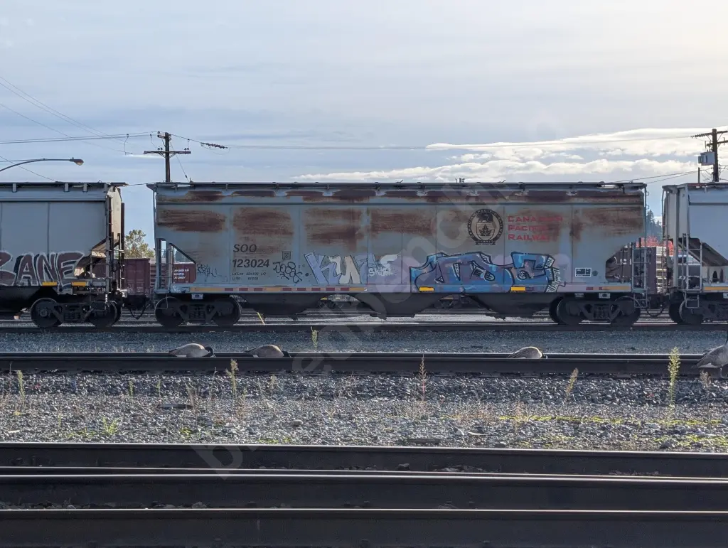SOO123024 - NORTH-AMERICA