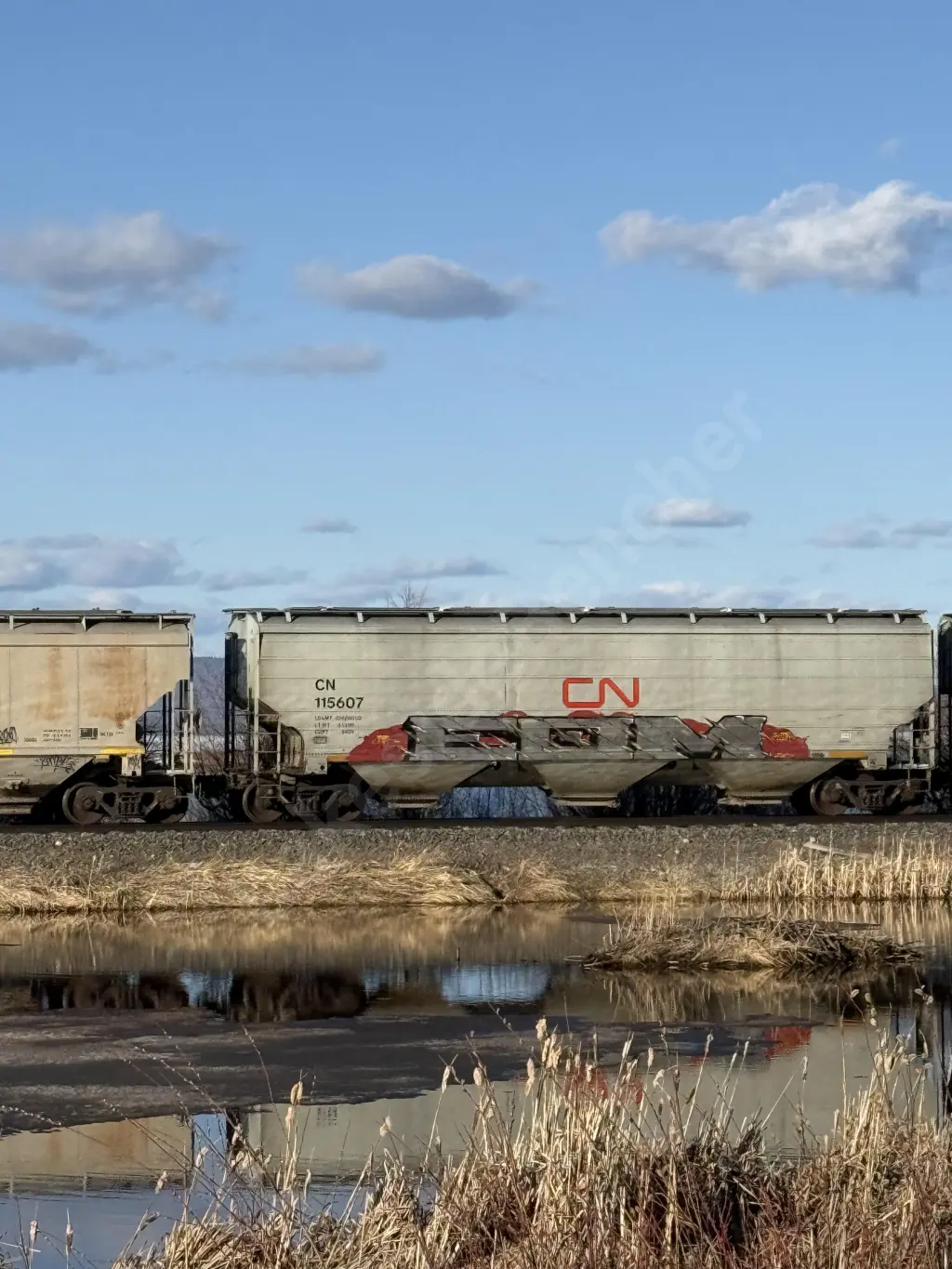 CN115607 - NORTH-AMERICA