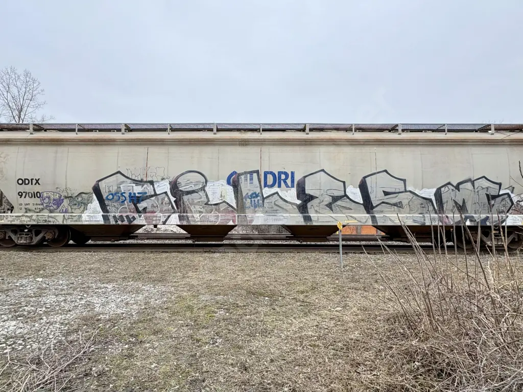 ODTX97010 - NORTH-AMERICA