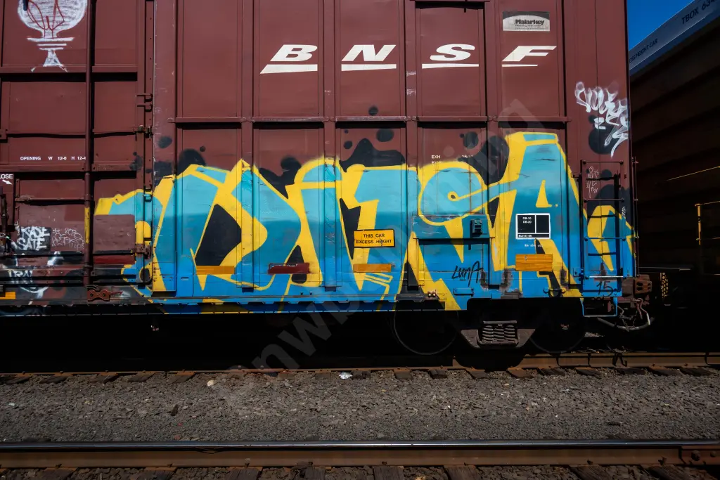 BNSF729203 - NORTH-AMERICA