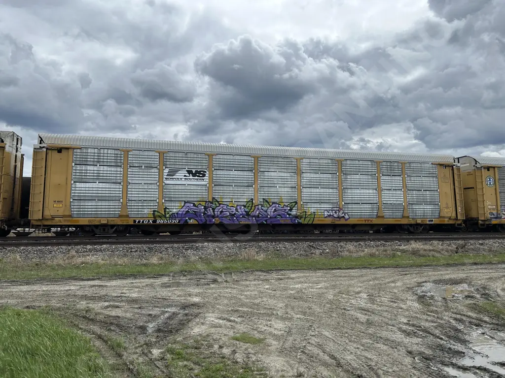 TTGX965030 - NORTH-AMERICA