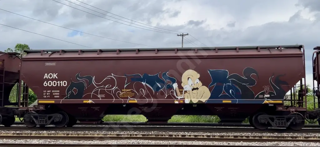 AOK600110 - NORTH-AMERICA