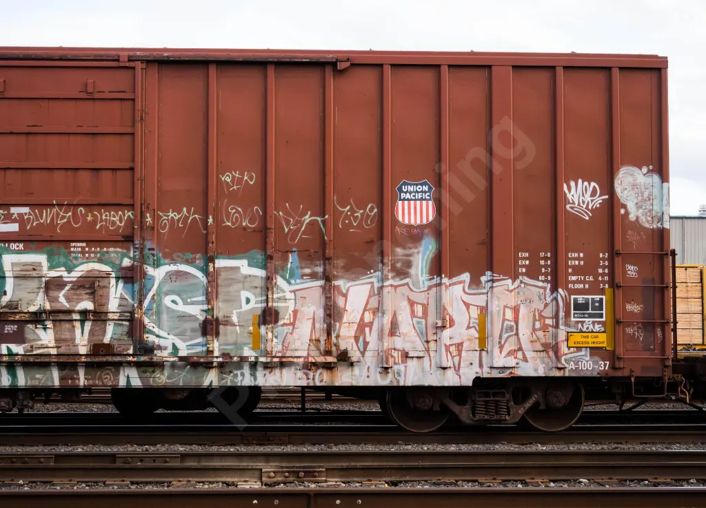UP369149 - NORTH-AMERICA
